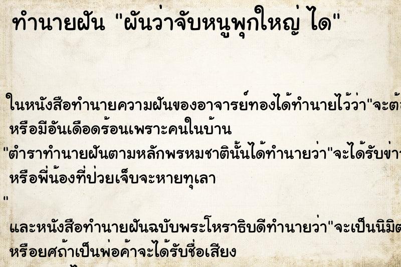 ทำนายฝันทำนายฝันผันว่าจับหนูพุกใหญ่ได